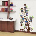 Family Photo Frame Tree, Owl and Birds Wall Sticker